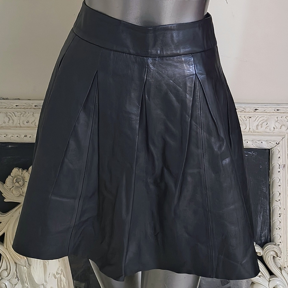 Banana Republic Leather Mini Skater Skirt
